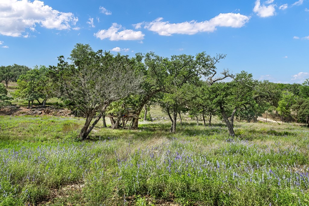 181 Real Lake House Road South Kerrville, TX 78028 - Photo 6 of 18 a view of a garden