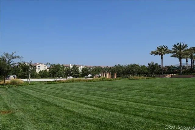a view of a grassy field with an trees