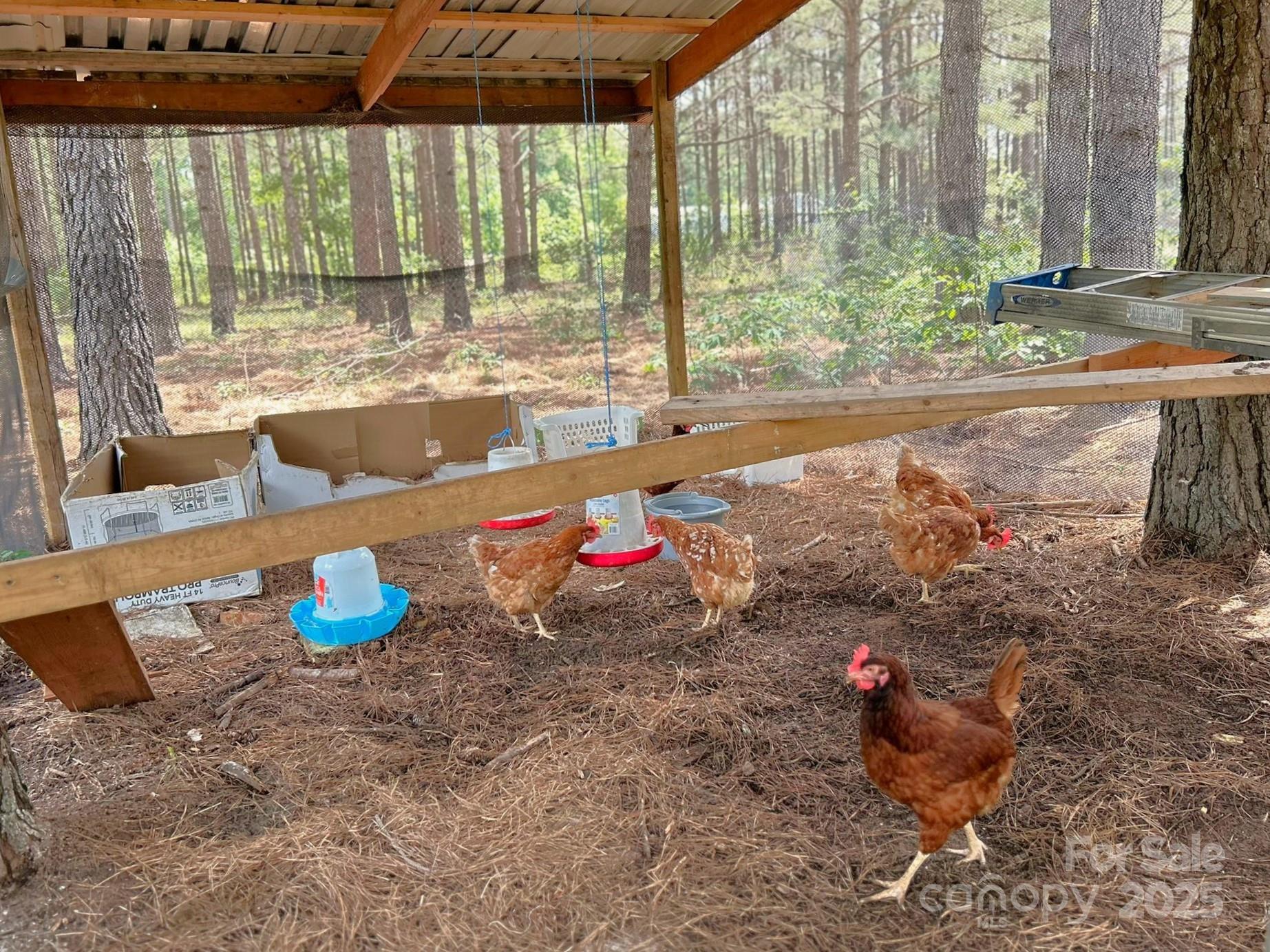 1808 Aiken Creek Road Blackstock, SC 29014 - Photo 14 of 17