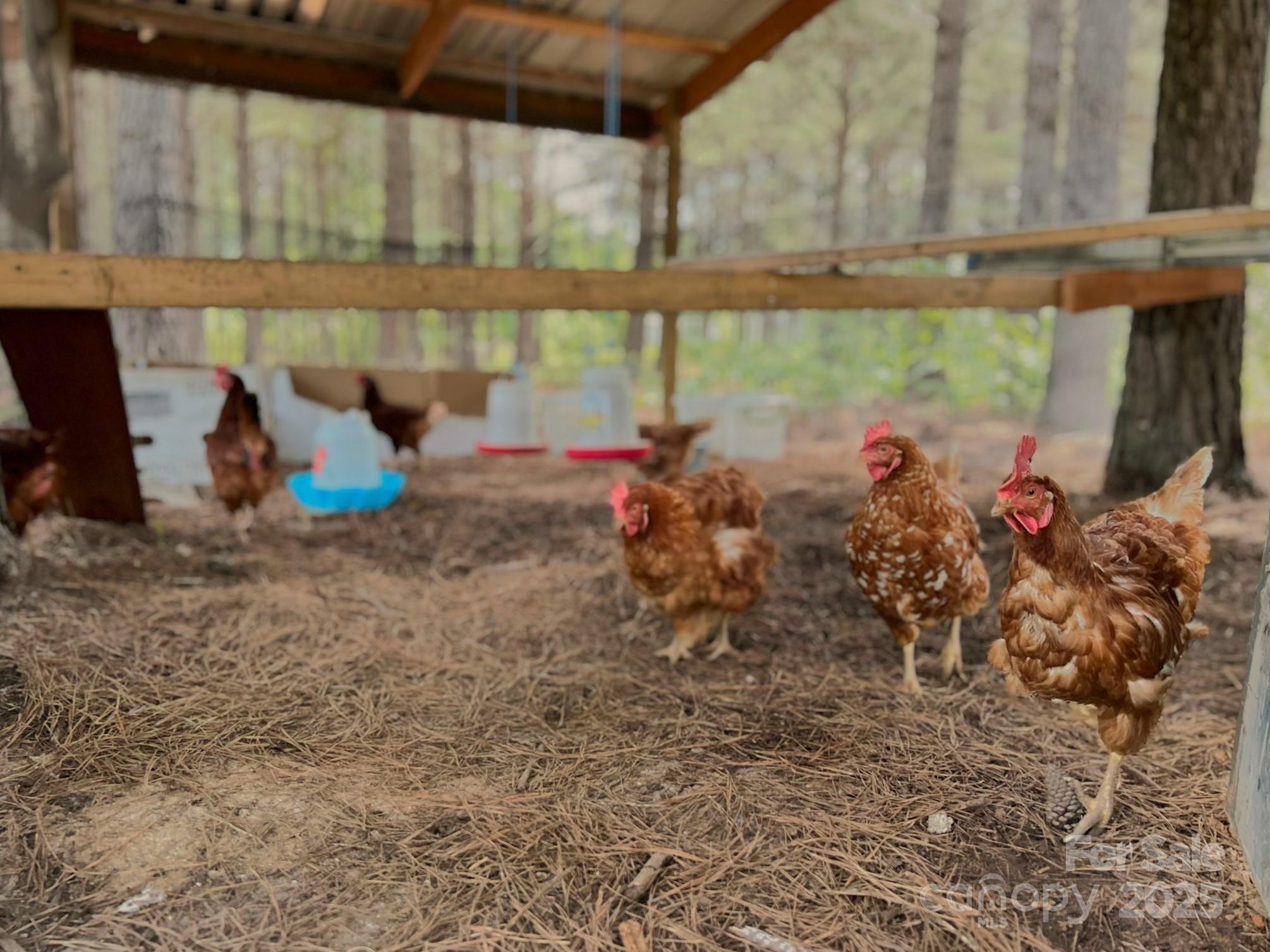 1808 Aiken Creek Road Blackstock, SC 29014 - Photo 15 of 17
