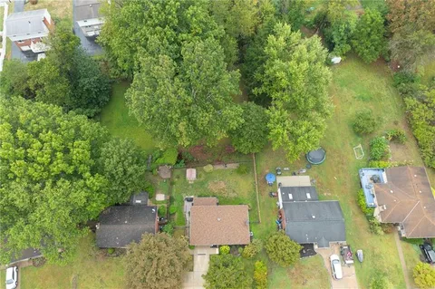 a view of a garden with plants