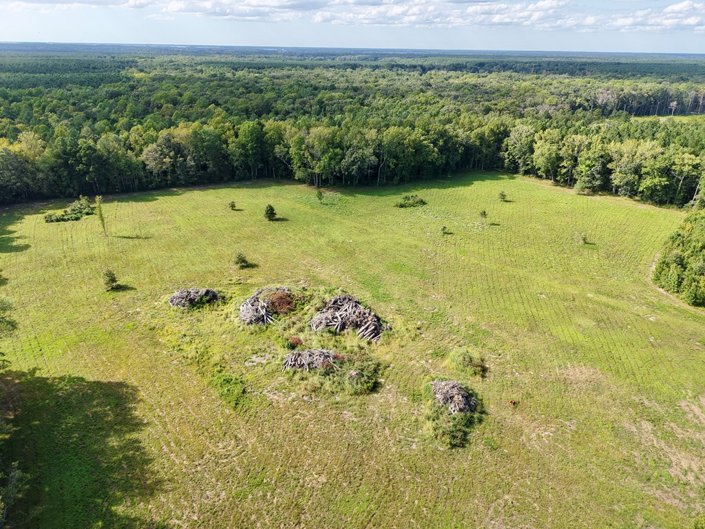 1-8 Gray Farm Road, Unit 18 Temperanceville, VA 23442 - Photo 11 of 28