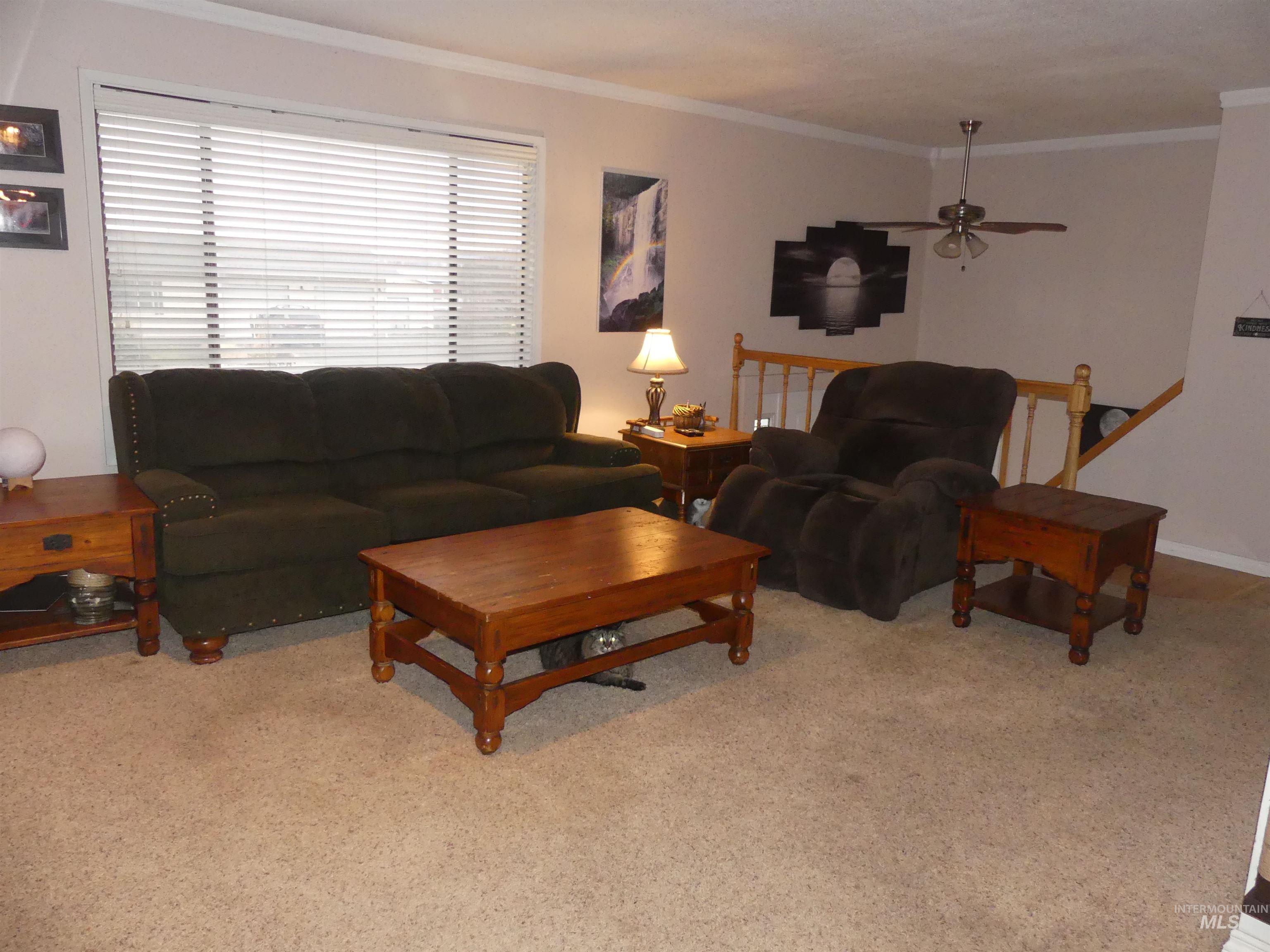 3427 18th Street Lewiston, ID 83501 - Photo 27 of 45 Living room featuring crown molding and light colored carpet