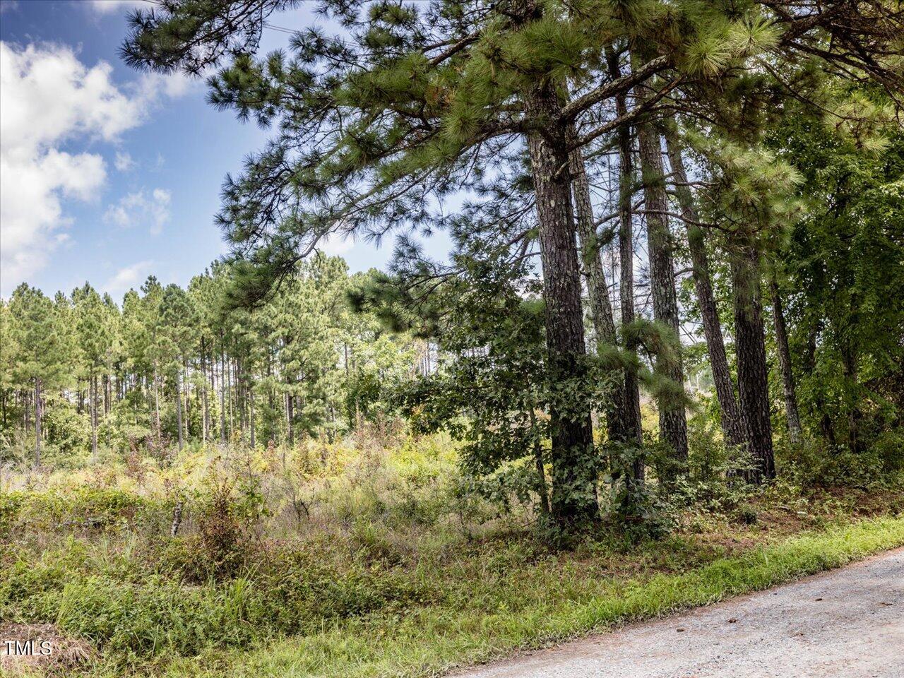 Tract B Chicken Bridge Road Pittsboro, NC 27312 - Photo 11 of 13 a backyard of a house with lots of green space