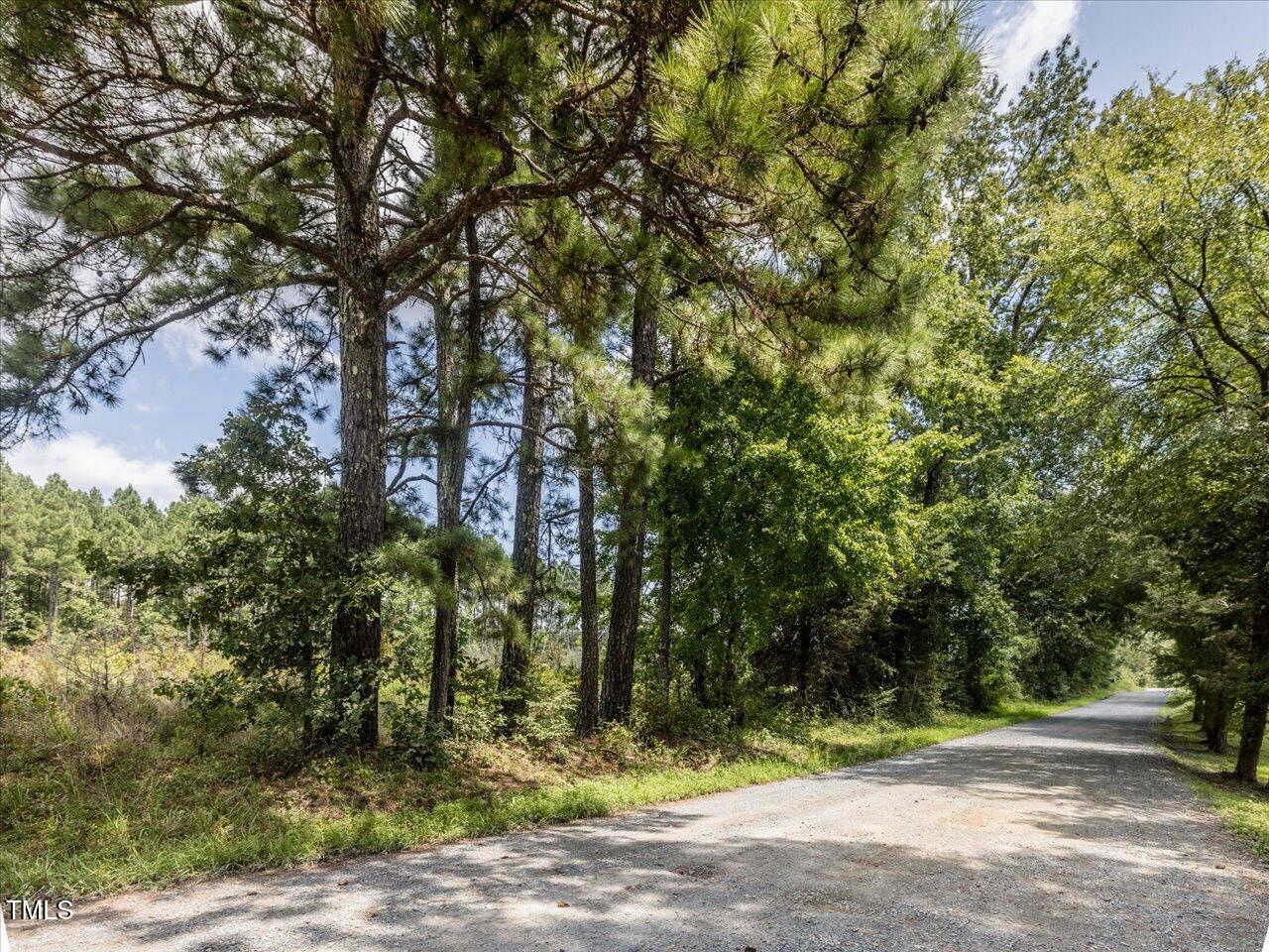 Tract B Chicken Bridge Road Pittsboro, NC 27312 - Photo 13 of 13 a view of outdoor space with trees