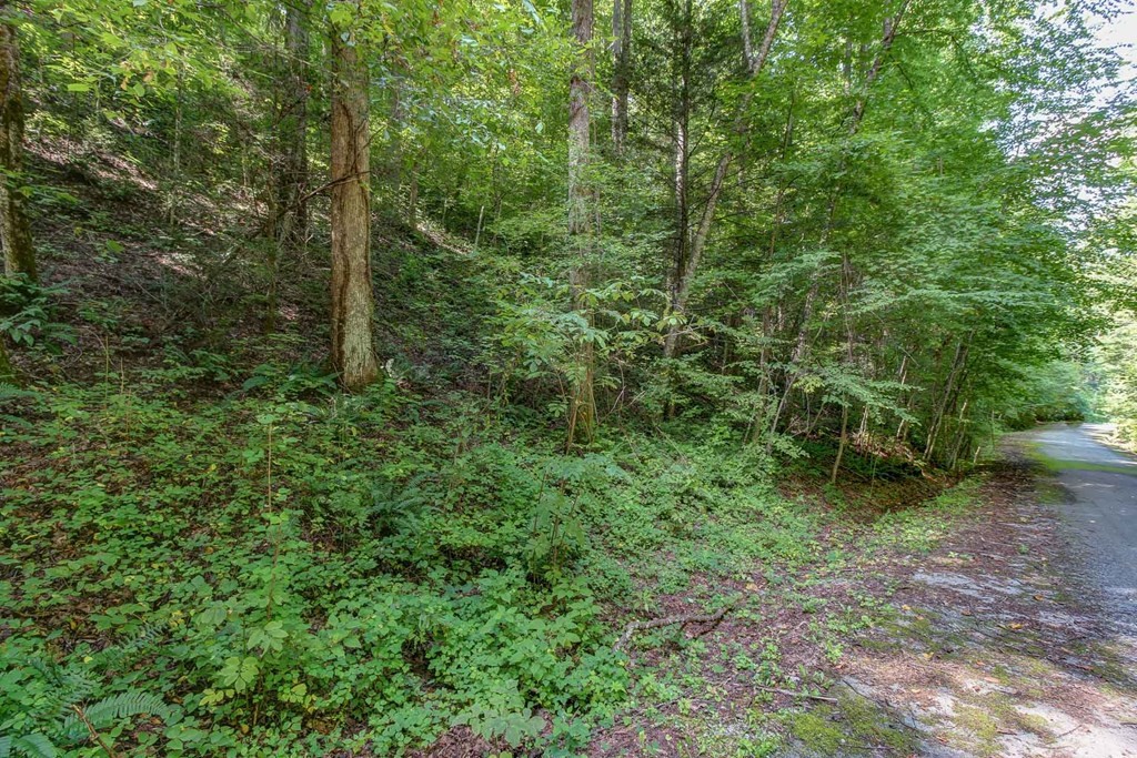 27 Riversong Way Sevierville, TN 37876 - Photo 9 of 10