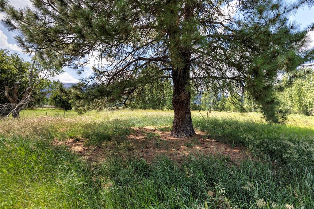 20233 Leo Hansen Road Florence, MT 59833 - Photo 26 of 30 Gallery Image 26