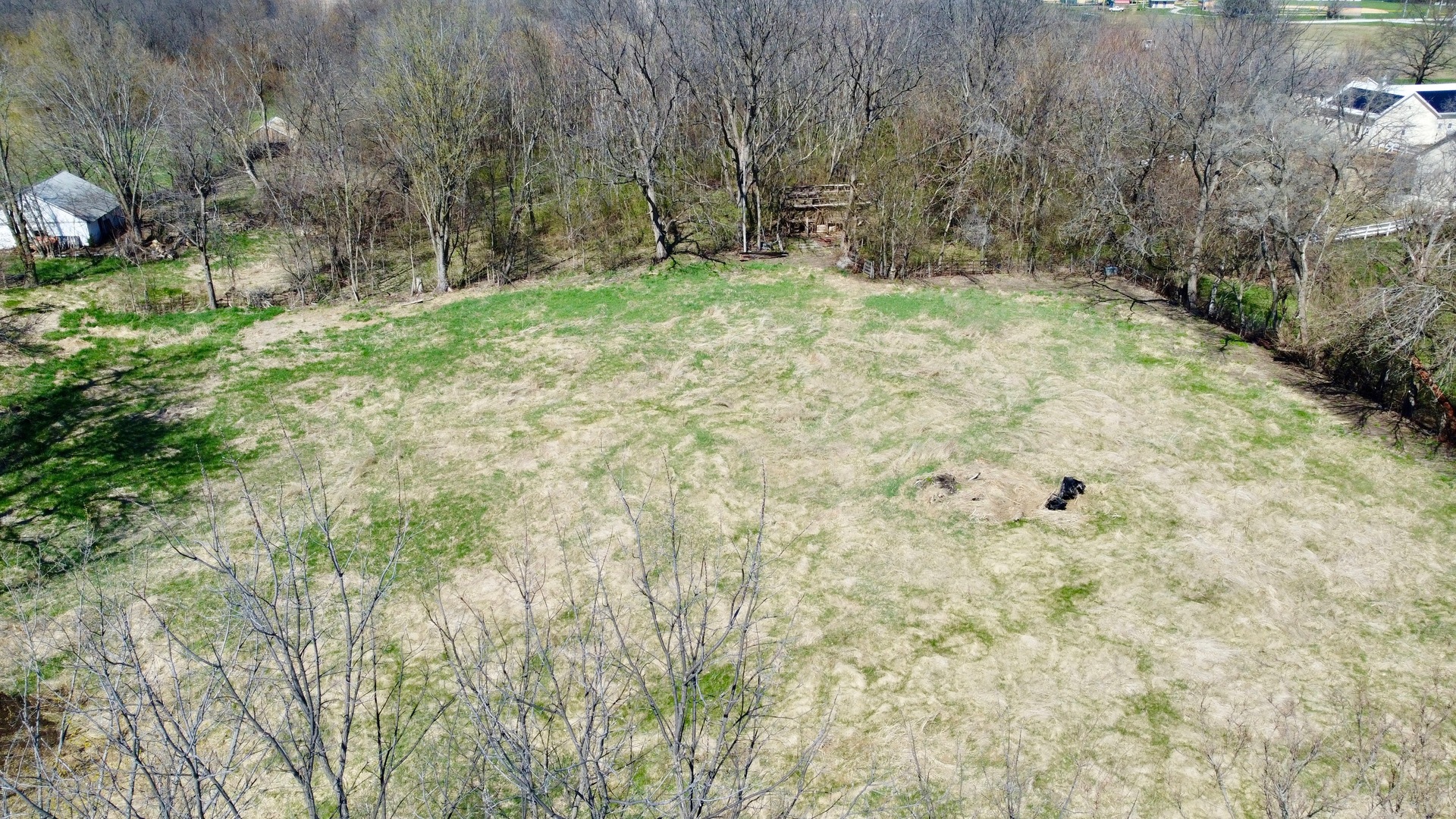 0 Northwest 7th Avenue Aledo, IL 61231 - Photo 7 of 8 a view of a yard with a tree