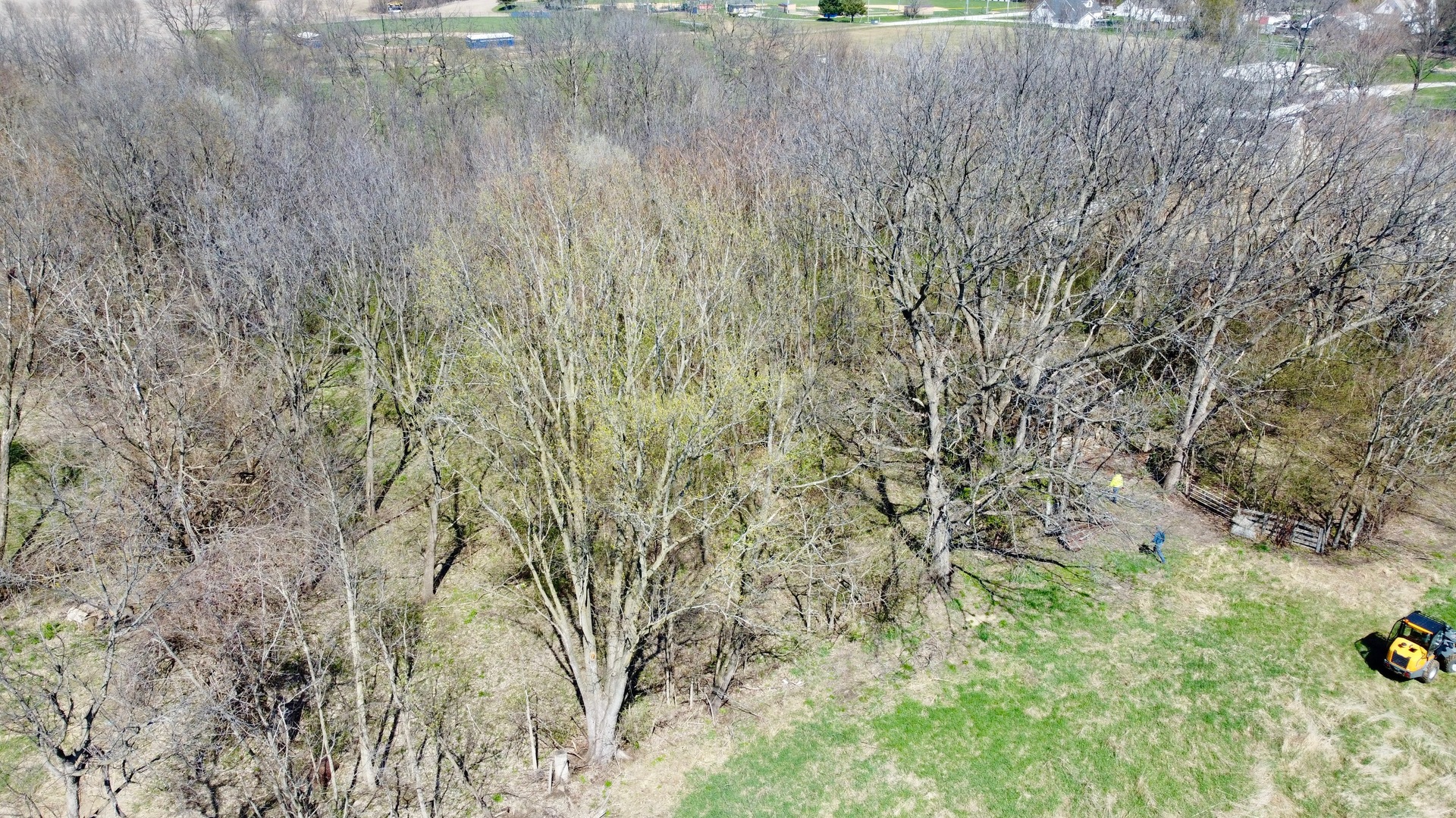 0 Northwest 7th Avenue Aledo, IL 61231 - Photo 8 of 8 a view of a dry yard