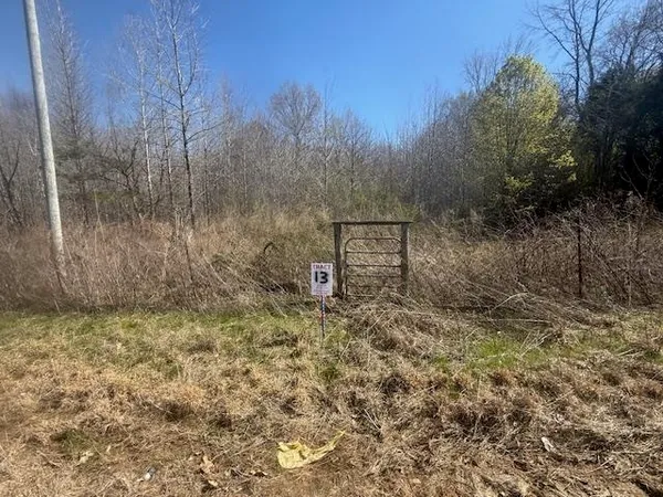 $52,000 | 13 Hwy 22a Highway, Jacks Creek, TN 38347