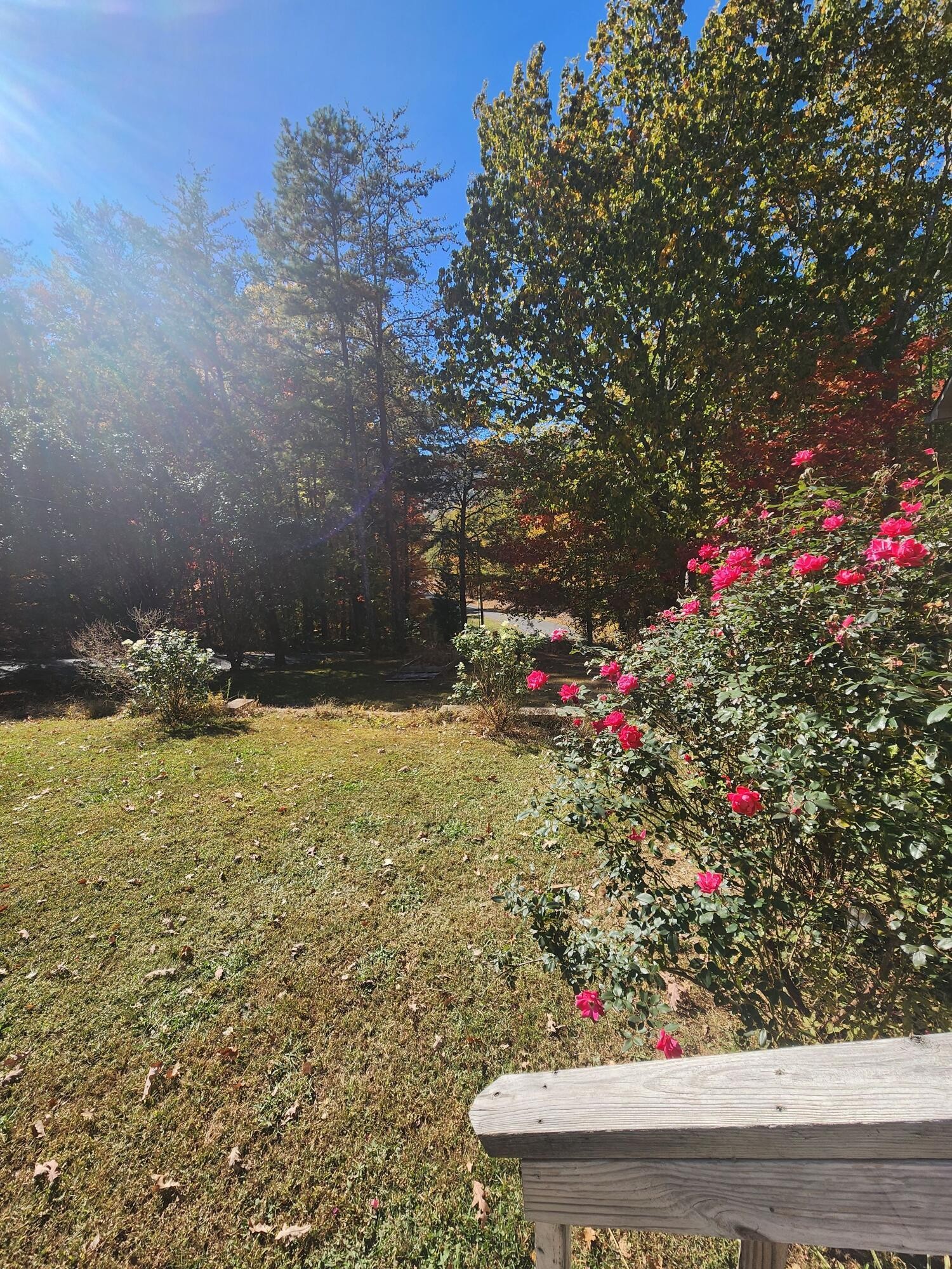 880 Price Road Spring City, TN 37381 - Photo 7 of 40 a view of outdoor space
