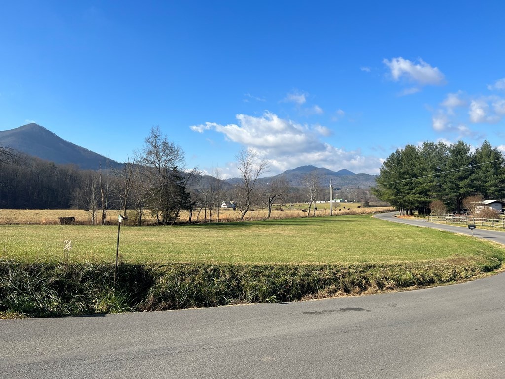 11 Katy Hollar Rd. Road Sevierville, TN 37862 - Photo 8 of 17