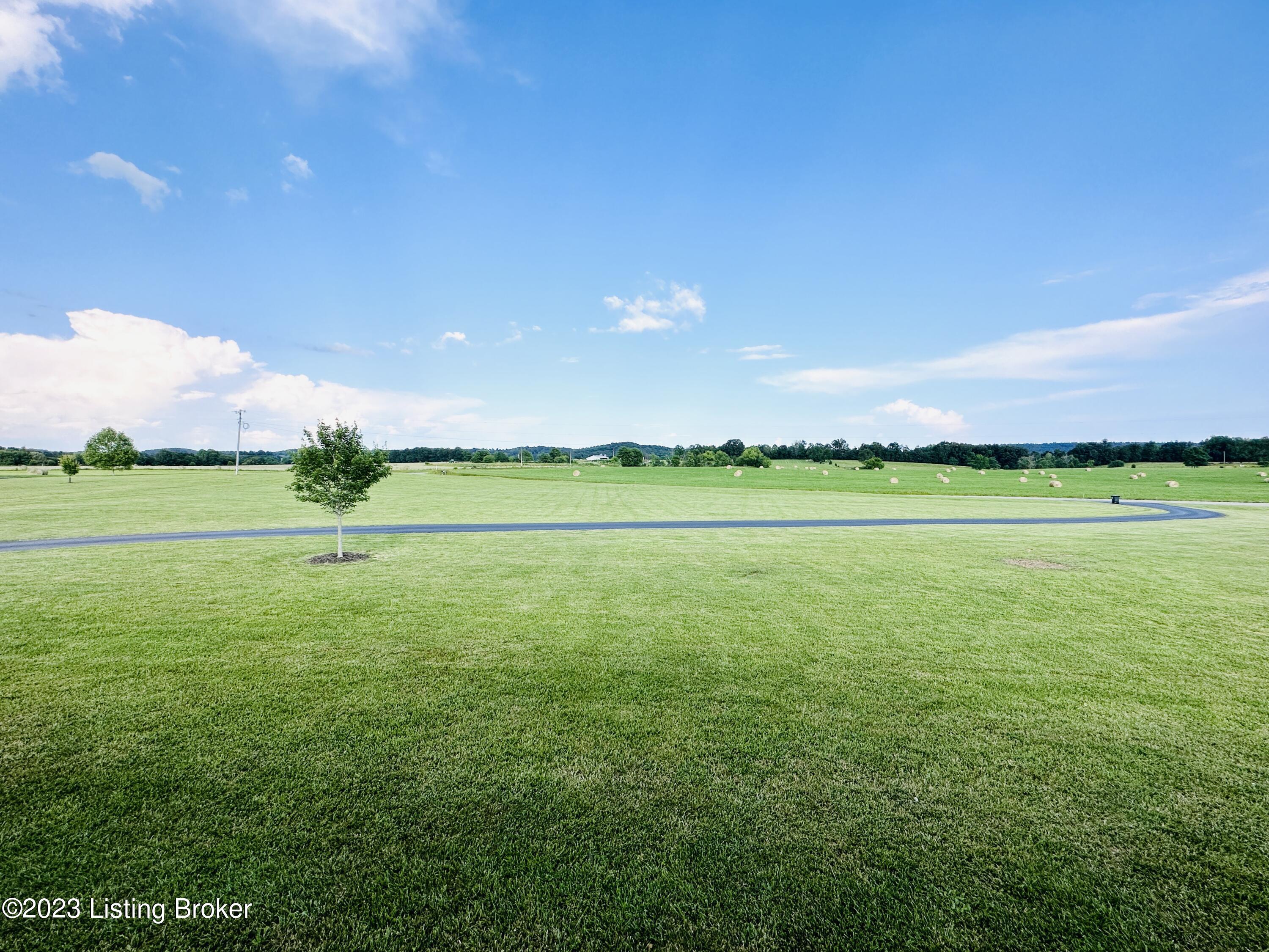 843 Pleasant View Road Millwood, KY 42762 - Photo 99 of 113 Yard photos-13
