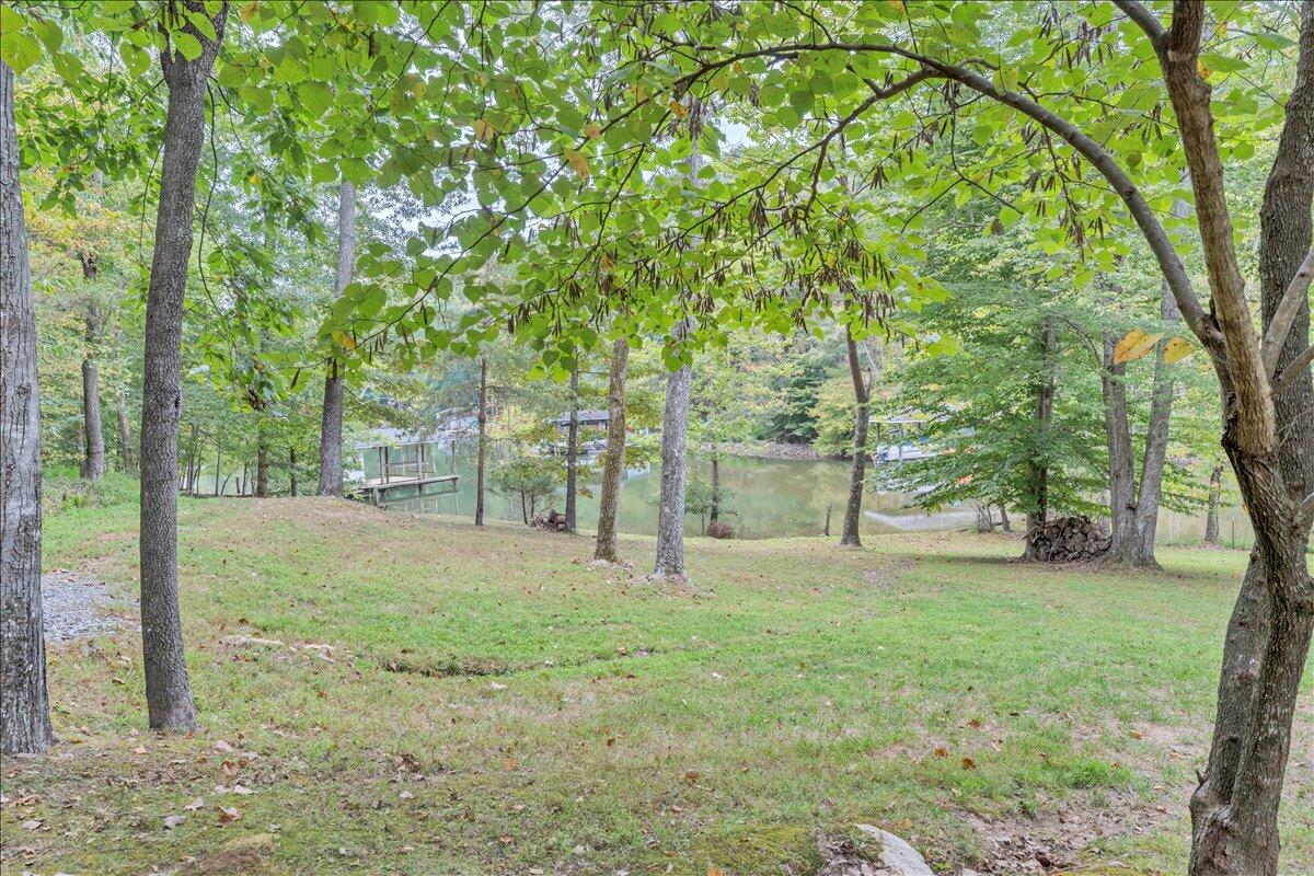 2854 Hickory Cove Lane Moneta, VA 24121 - Photo 100 of 148 Yard