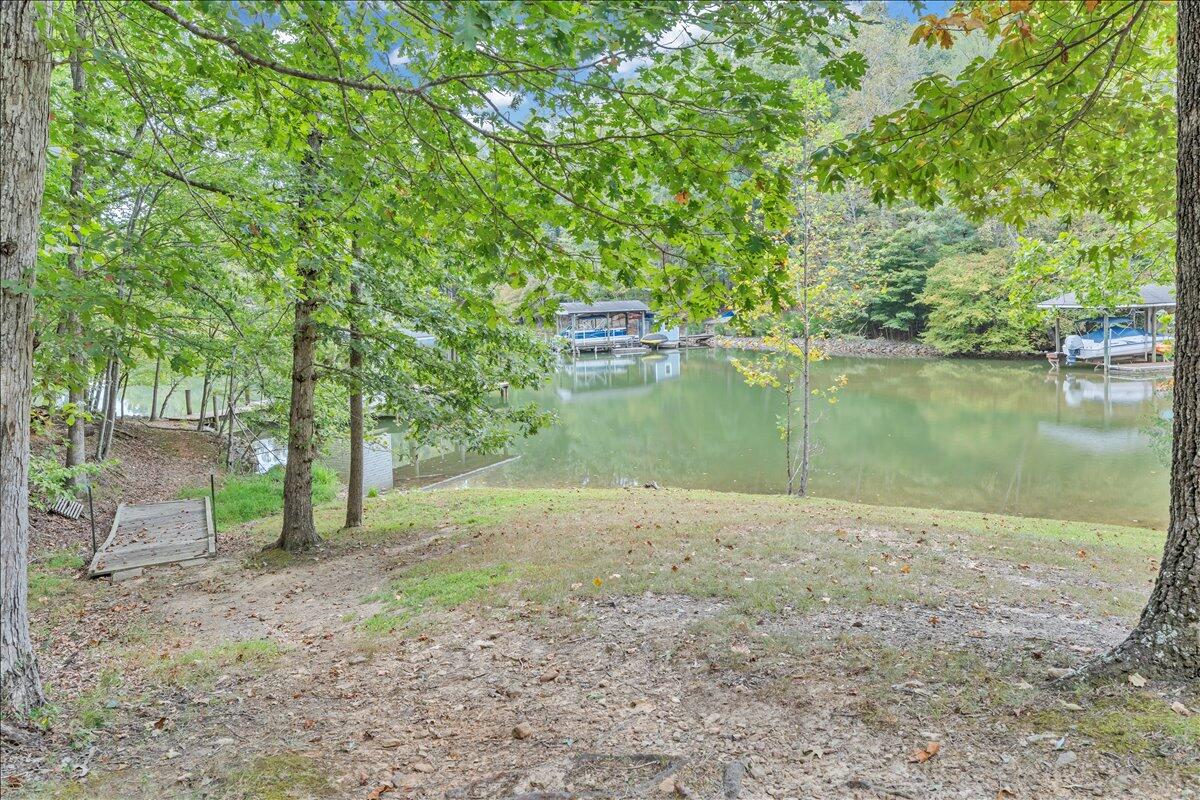 2854 Hickory Cove Lane Moneta, VA 24121 - Photo 101 of 148 Yard