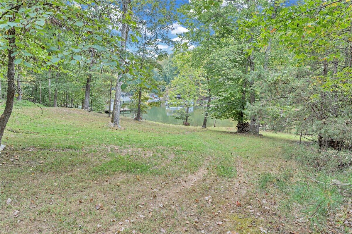 2854 Hickory Cove Lane Moneta, VA 24121 - Photo 104 of 148 Yard
