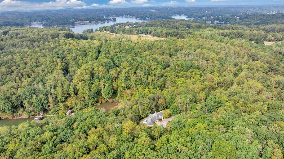 2854 Hickory Cove Lane Moneta, VA 24121 - Photo 113 of 148 Aerial