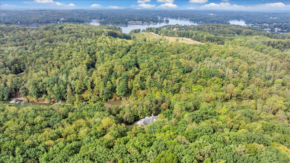 2854 Hickory Cove Lane Moneta, VA 24121 - Photo 114 of 148 Aerial