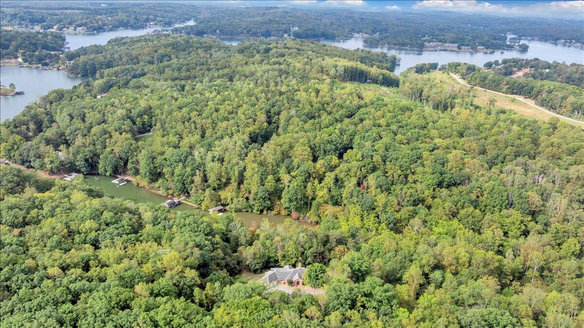 2854 Hickory Cove Lane Moneta, VA 24121 - Photo 117 of 148 Aerial