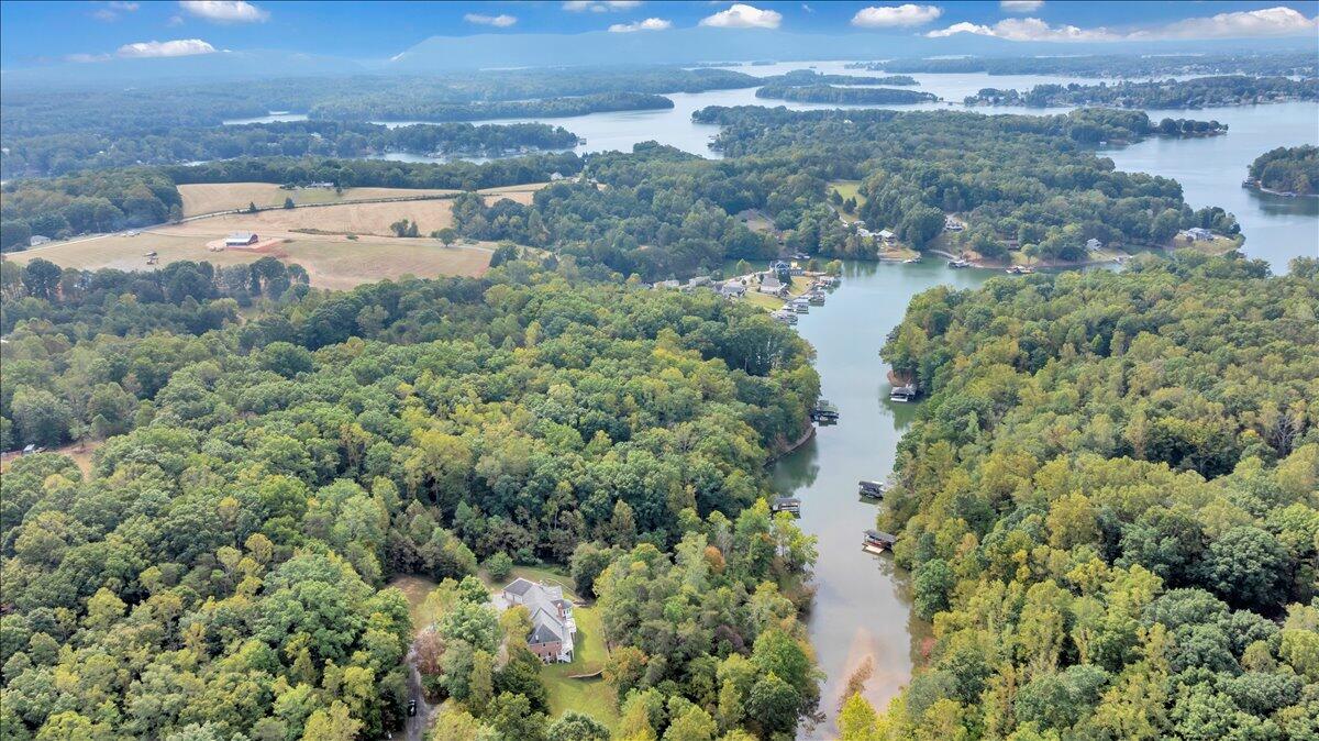 2854 Hickory Cove Lane Moneta, VA 24121 - Photo 121 of 148 Aerial