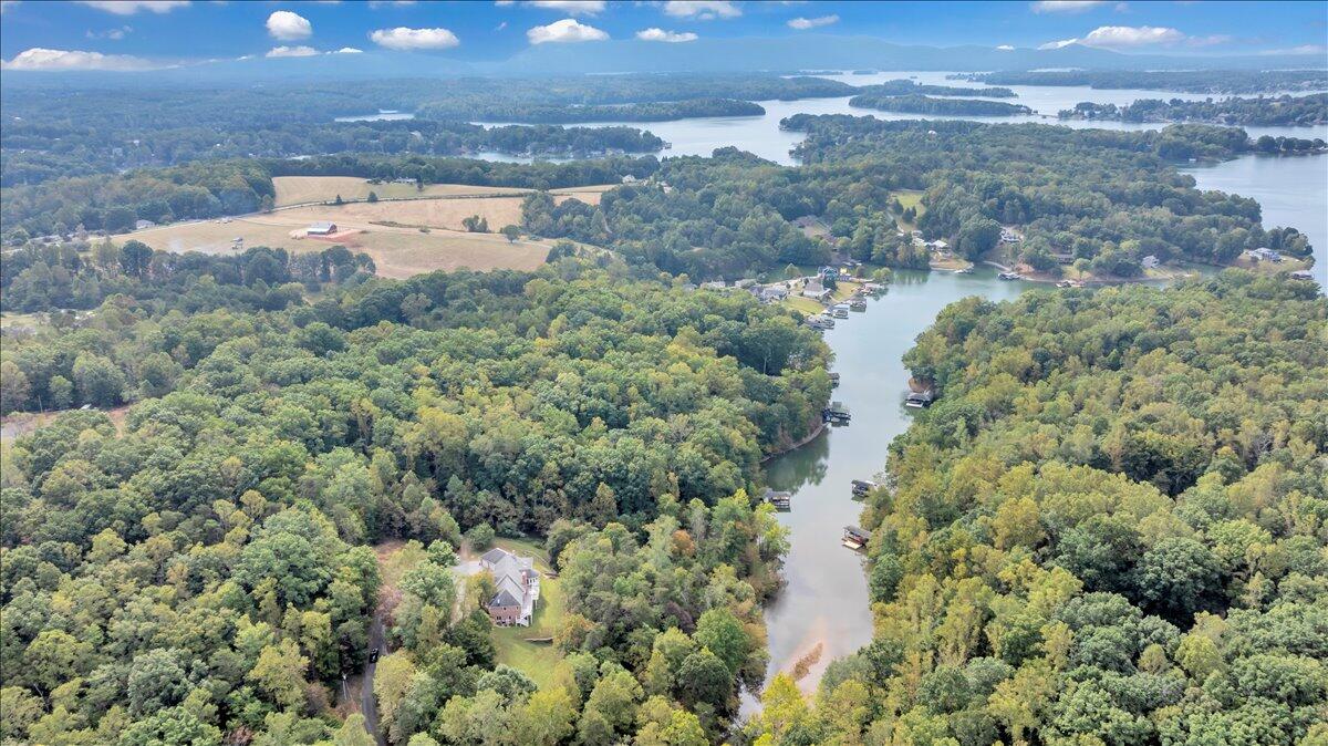 2854 Hickory Cove Lane Moneta, VA 24121 - Photo 122 of 148 Aerial