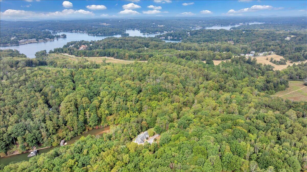 2854 Hickory Cove Lane Moneta, VA 24121 - Photo 124 of 148 Aerial