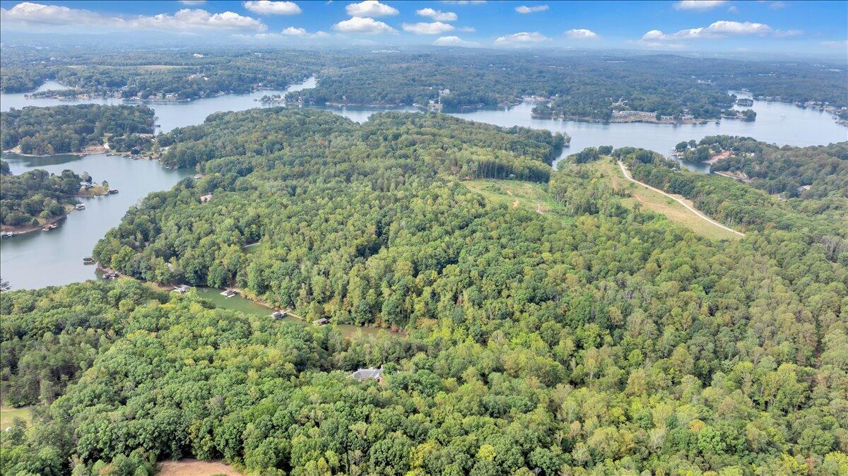 2854 Hickory Cove Lane Moneta, VA 24121 - Photo 126 of 148 Aerial