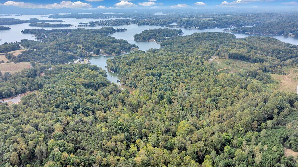 2854 Hickory Cove Lane Moneta, VA 24121 - Photo 128 of 148 Aerial