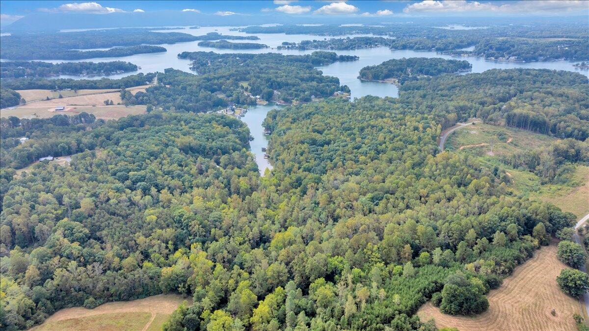 2854 Hickory Cove Lane Moneta, VA 24121 - Photo 129 of 148 Aerial