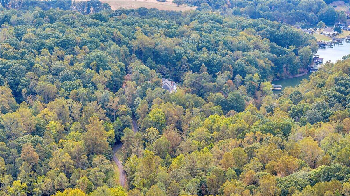 2854 Hickory Cove Lane Moneta, VA 24121 - Photo 131 of 148 Aerial