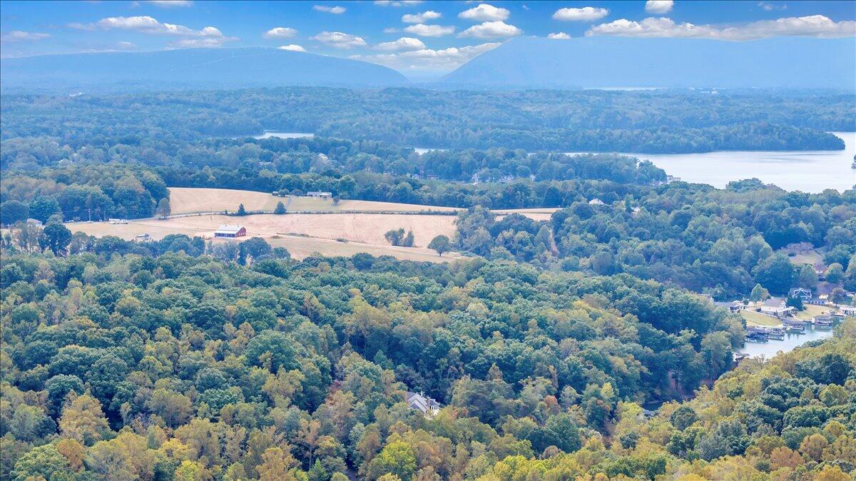 2854 Hickory Cove Lane Moneta, VA 24121 - Photo 132 of 148 Aerial