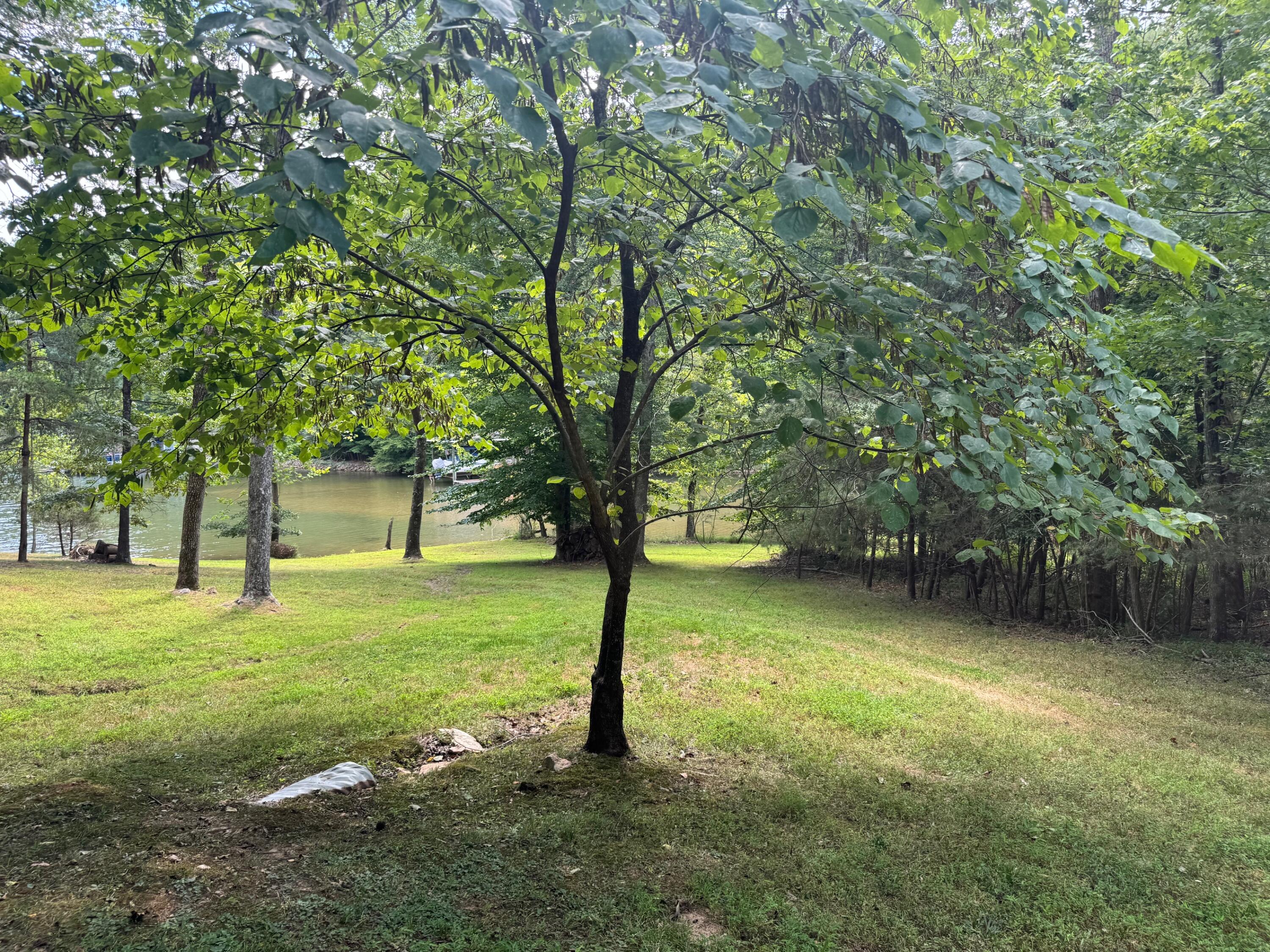 2854 Hickory Cove Lane Moneta, VA 24121 - Photo 143 of 148 walking to the lake