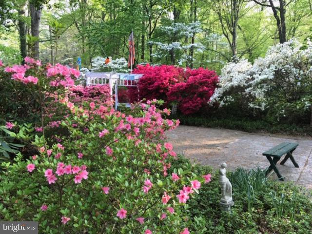 703 Hillen Road Towson, MD 21286 - Photo 2 of 51