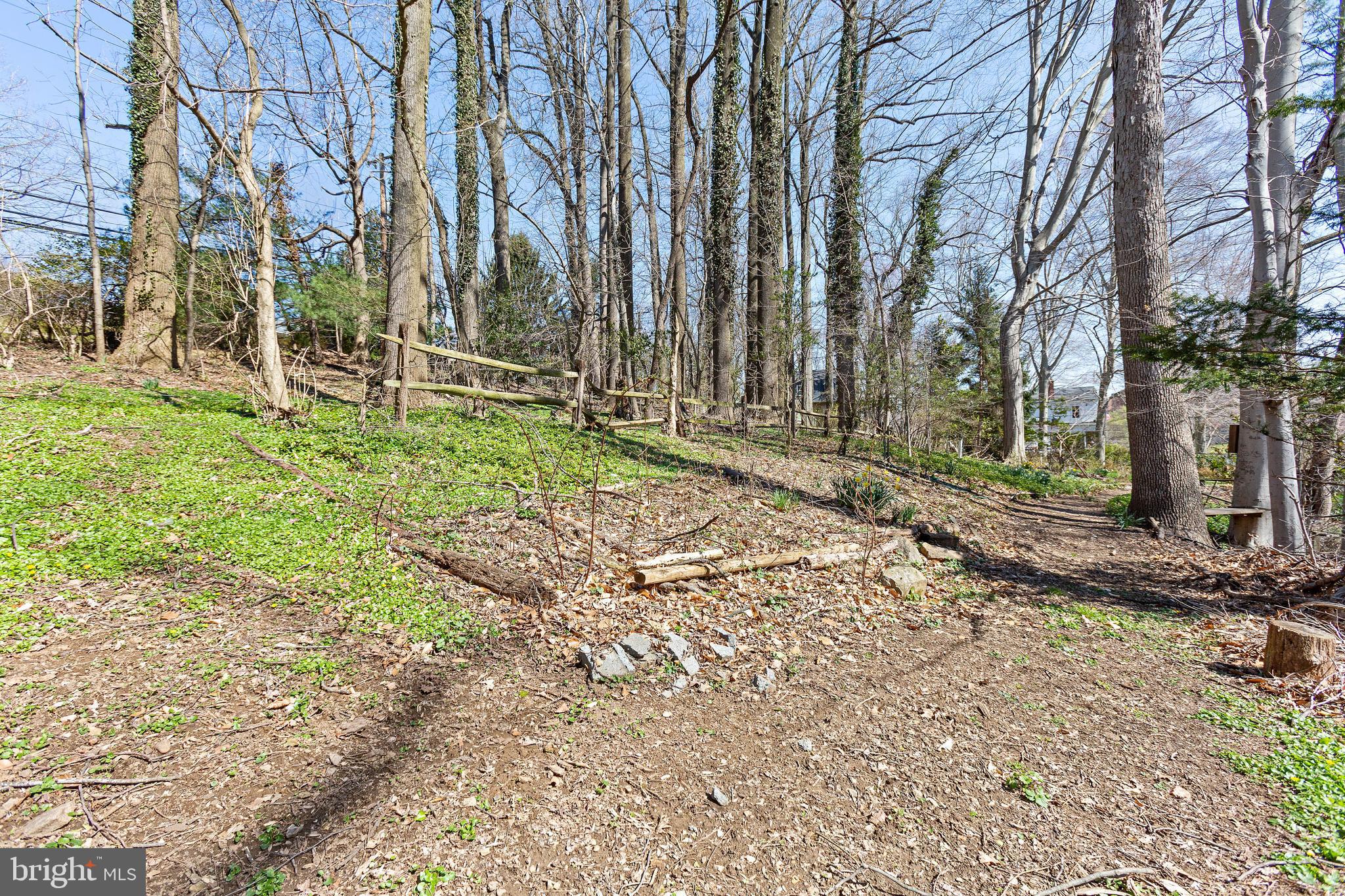 703 Hillen Road Towson, MD 21286 - Photo 25 of 51