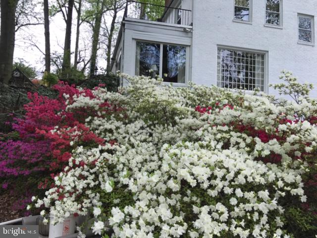 703 Hillen Road Towson, MD 21286 - Photo 28 of 51