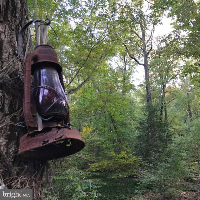 703 Hillen Road Towson, MD 21286 - Photo 49 of 51