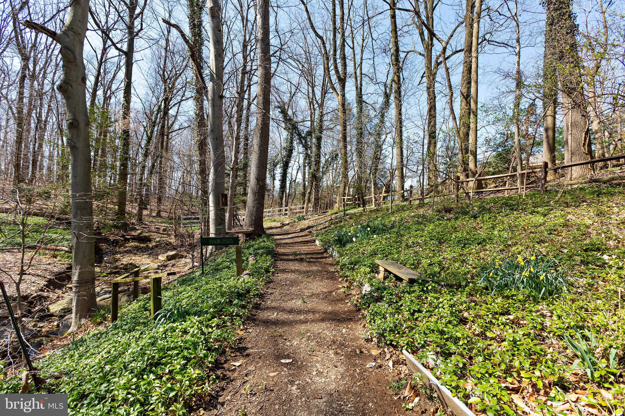 703 Hillen Road Towson, MD 21286 - Photo 6 of 51