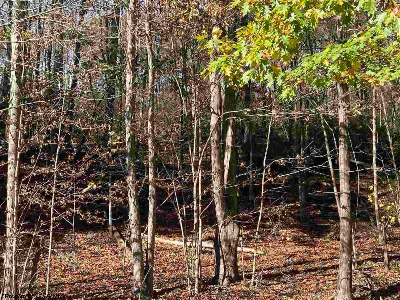 Tbd Middleville Road Bridgeport, WV 26330 - Photo 3 of 4 Gallery Image 3