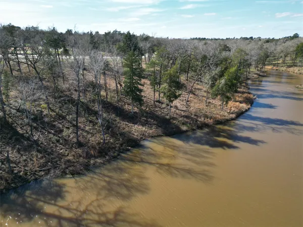 a view of a forest with side of a road