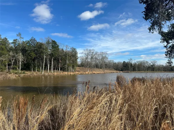 a view of lake