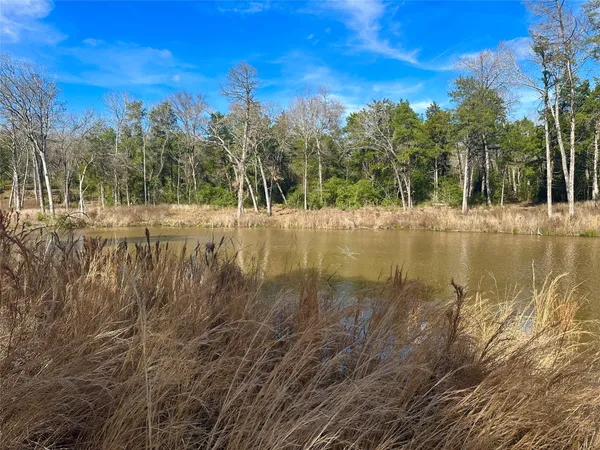 a view of a lake view