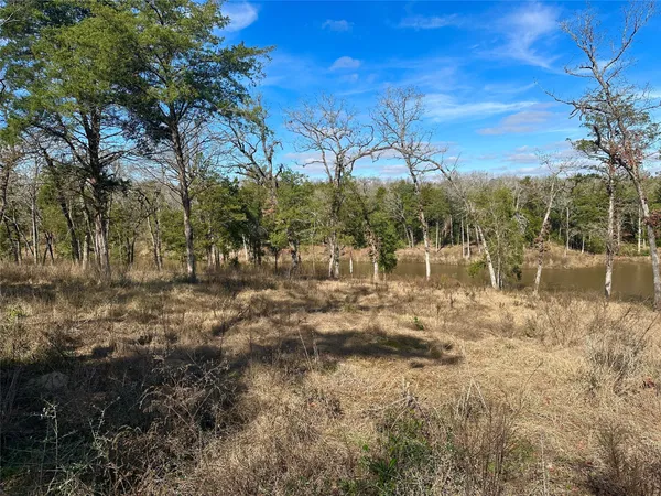 a view of outdoor space with trees