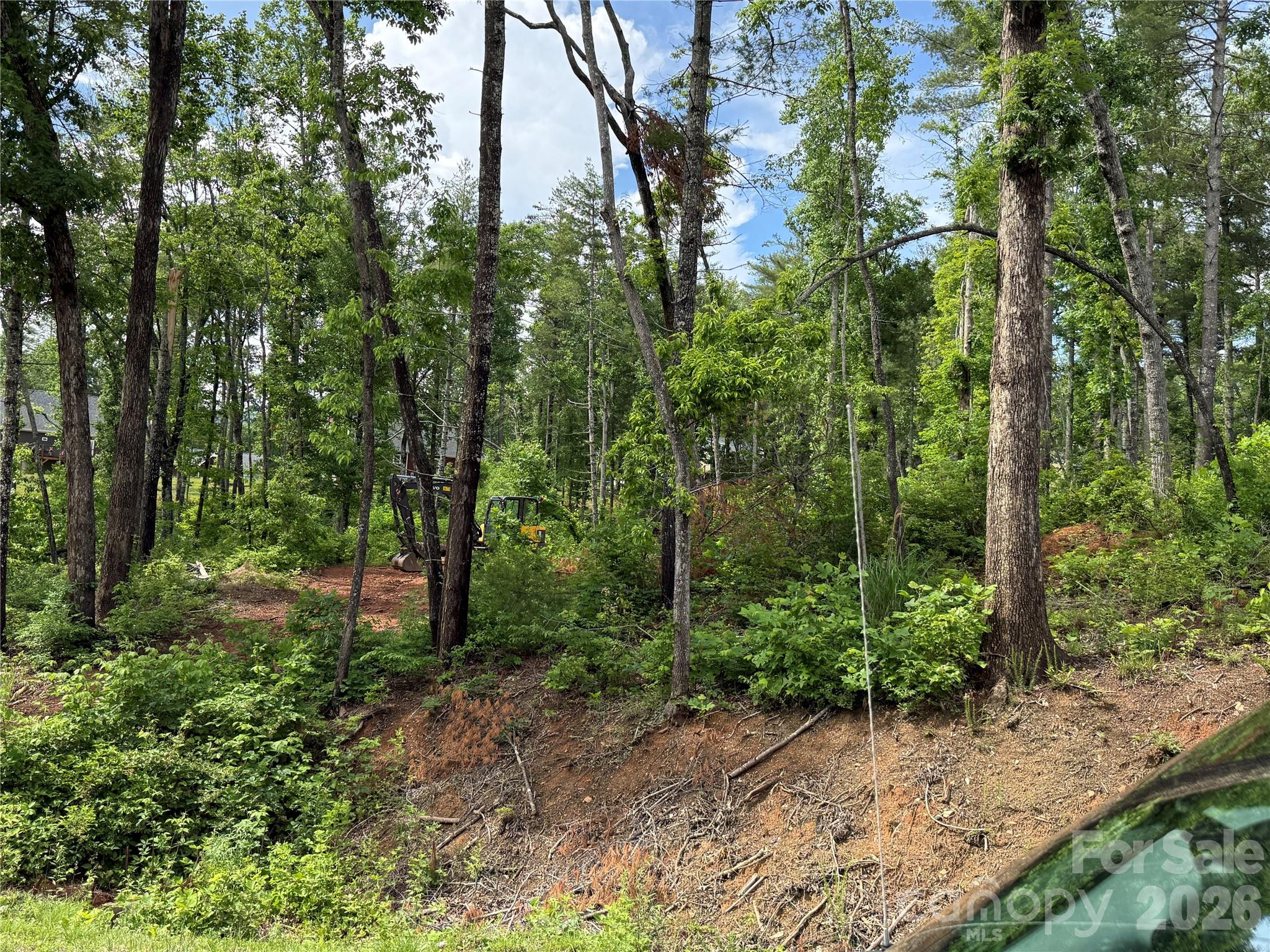 207 Cascade Rdg Road Fairview, NC 28730 - Photo 2 of 2 a view of a forest with trees