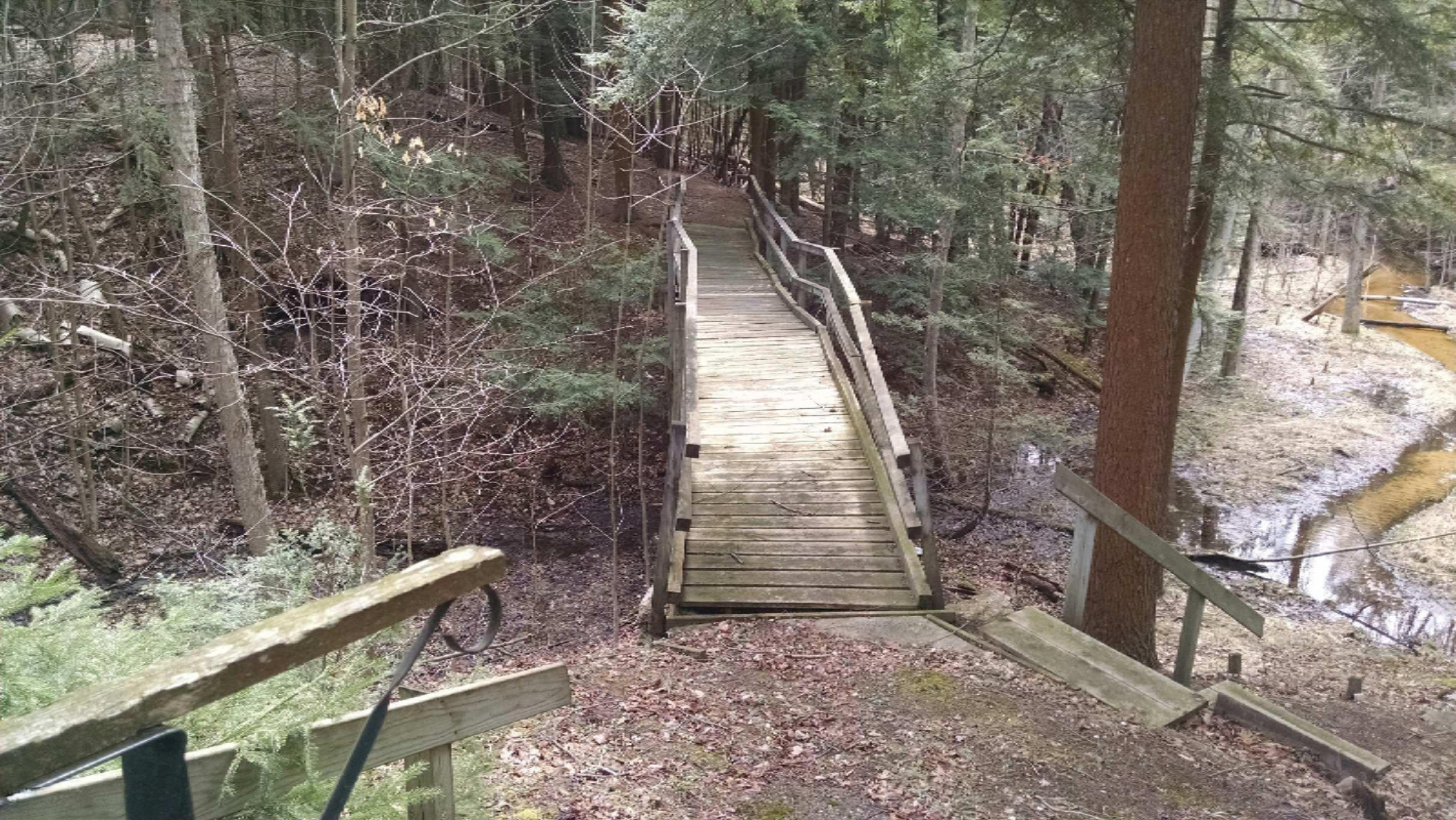 5103 West Rasmussen Road Ludington, MI 49431 - Photo 5 of 11 IMG_20170413_132106323