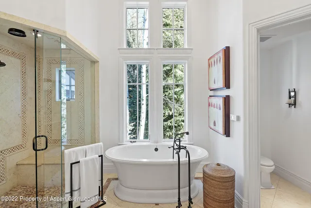 a bath room with a toilet and a bath tub