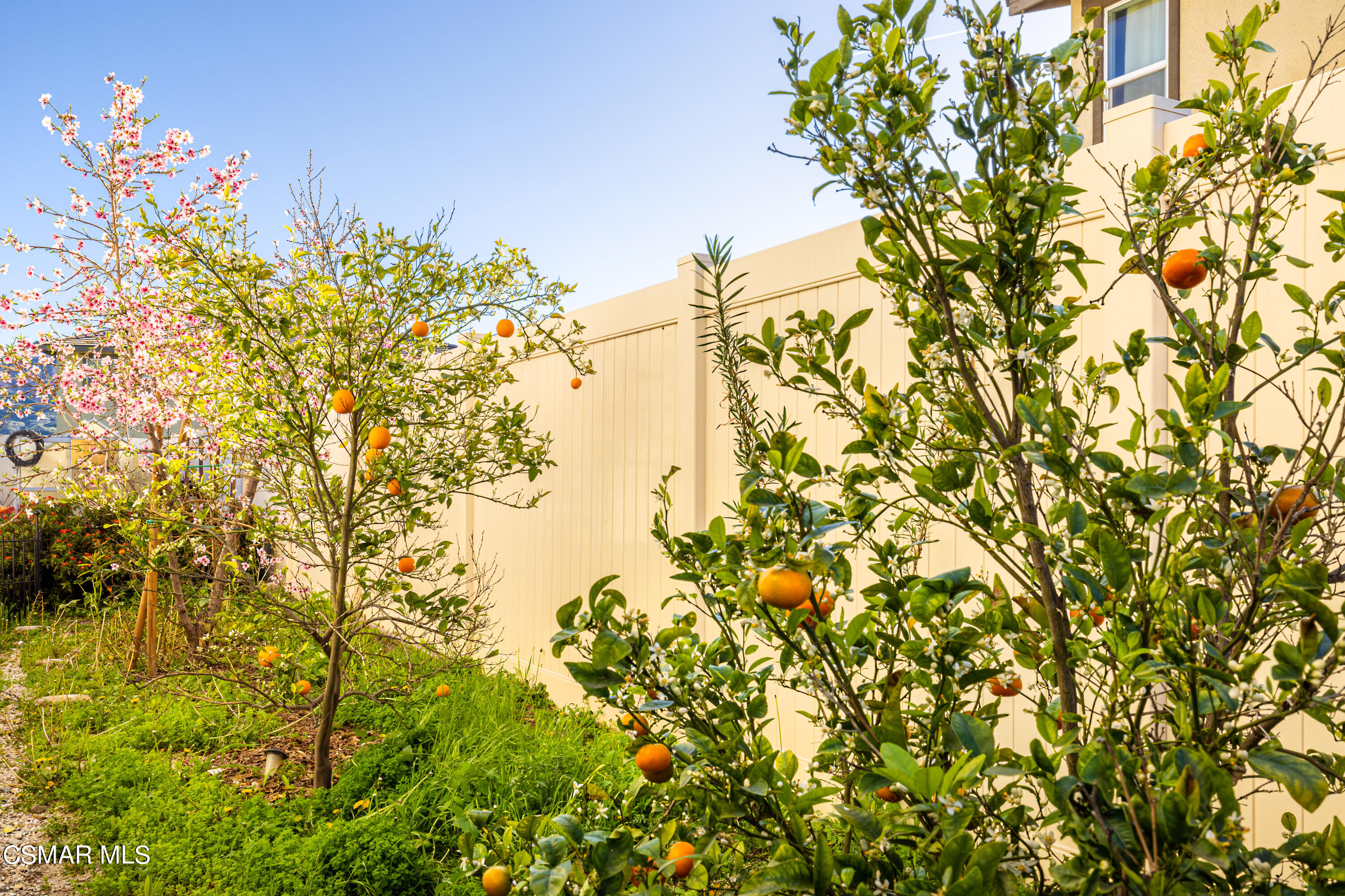 396 Edgewood Drive Fillmore, CA 93015 - Photo 25 of 29 a plant view