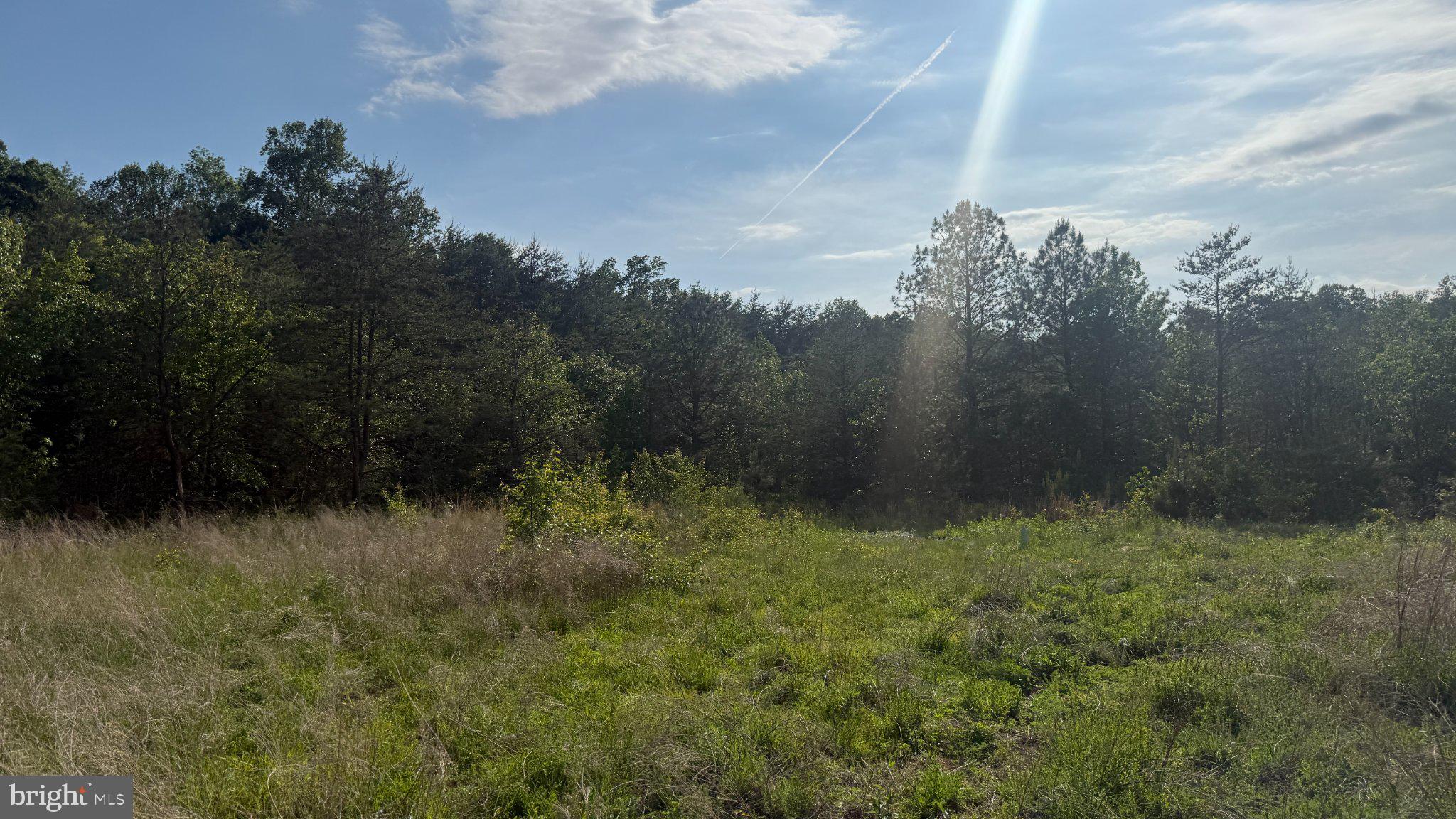 1377 Meyers Station Road Odenton, MD 21113 - Photo 8 of 17 Serene Meadow Embraced by Trees