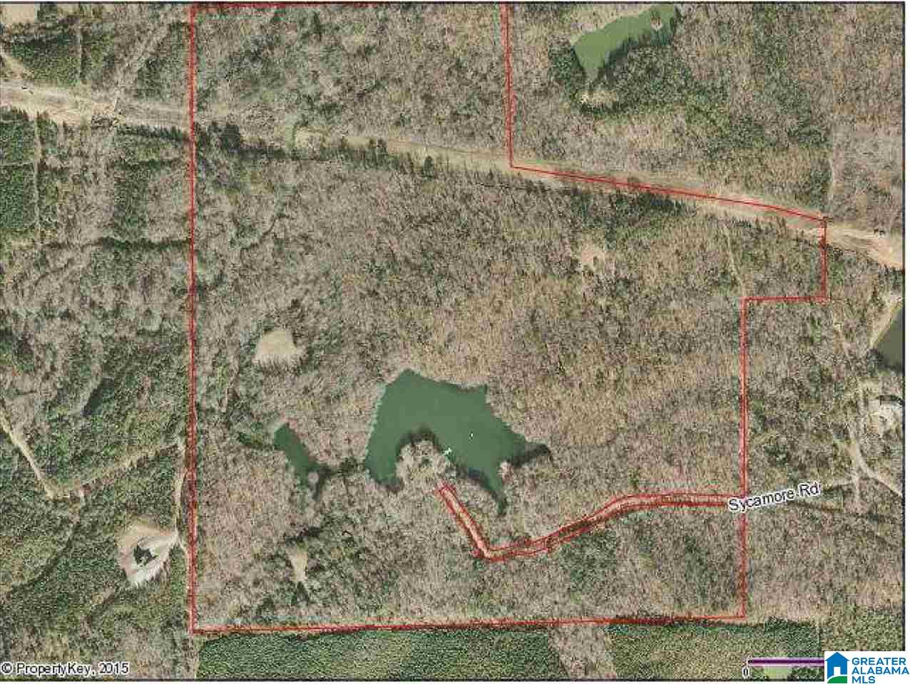 Sycamore Road, Unit 125 Columbiana, AL 35051 - Photo 2 of 14