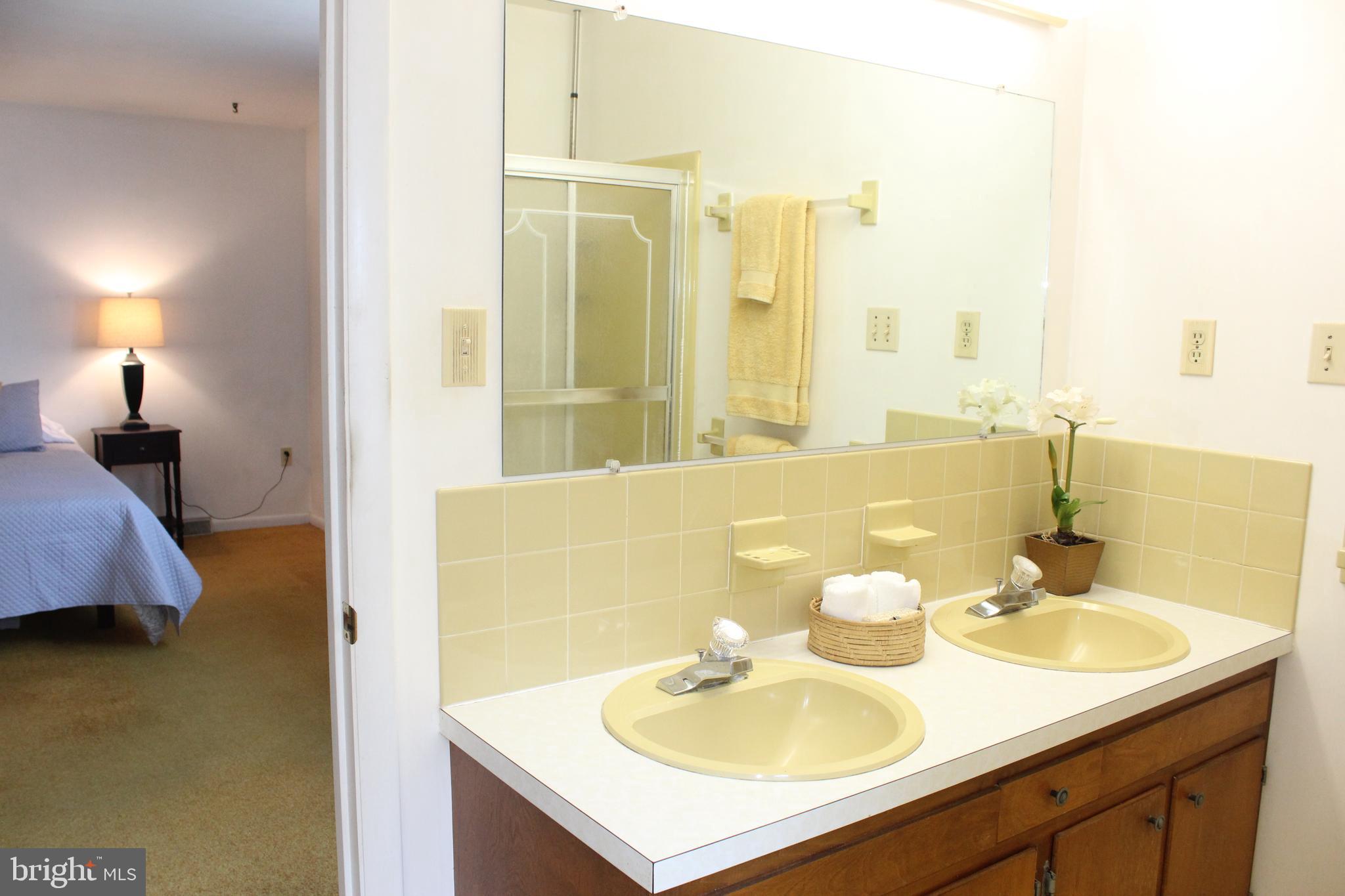 802 South Cedar Street Lititz, PA 17543 - Photo 28 of 51 Master Bath