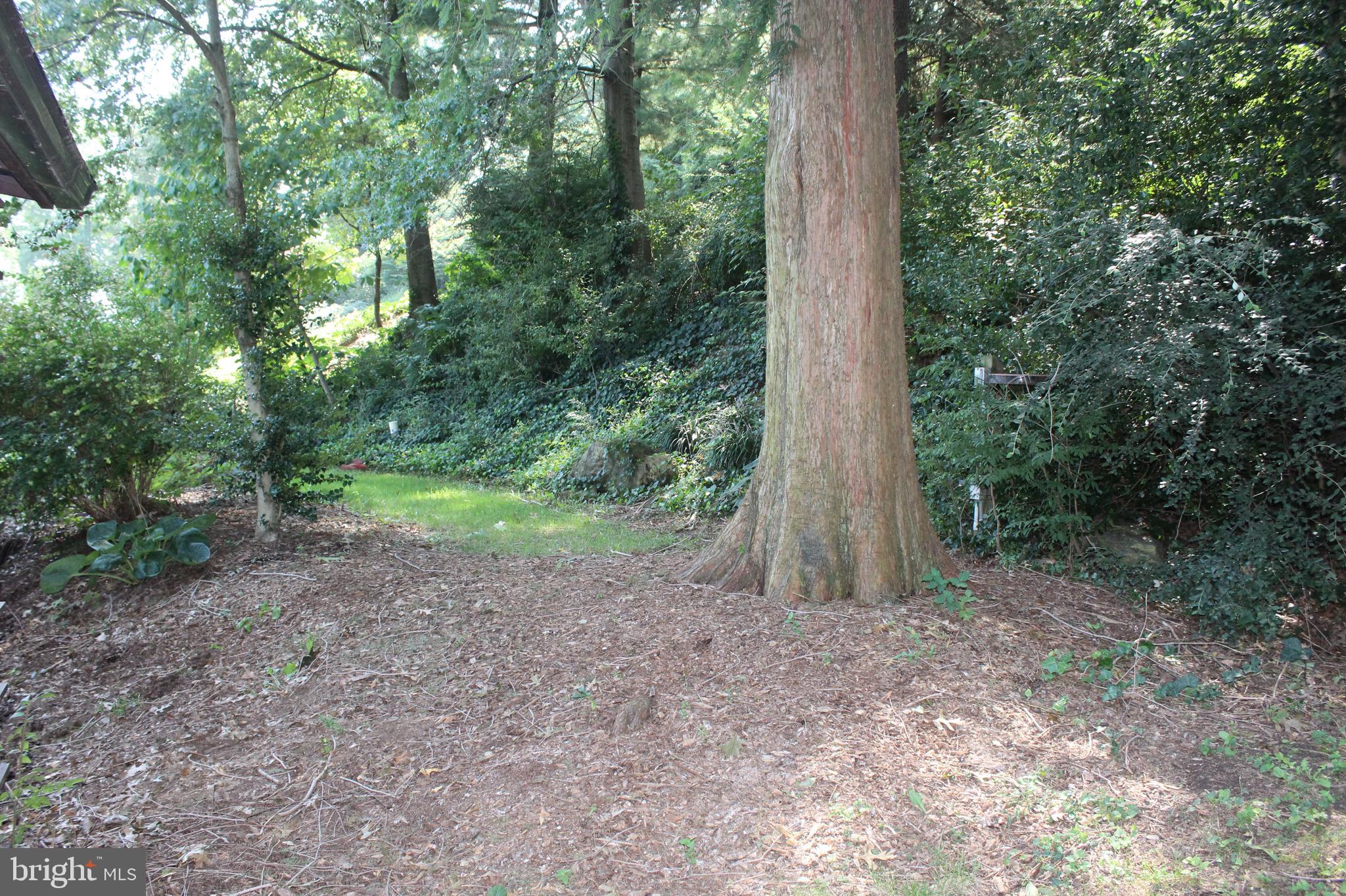 802 South Cedar Street Lititz, PA 17543 - Photo 47 of 51 Landscape